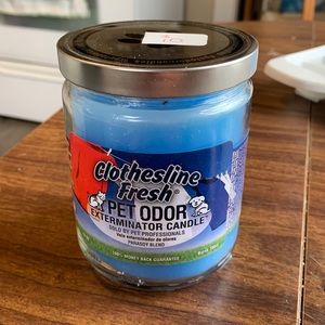 Pet odor eliminating candle